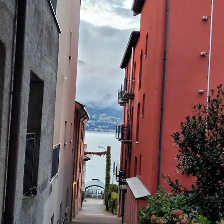 Cipresso 19 *